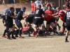 Camelback-Rugby-vs-Phoenix-Rugby-B-Side-006