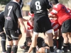 Camelback-Rugby-vs-Phoenix-Rugby-B-Side-094