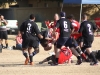 Camelback-Rugby-vs-Phoenix-Rugby-B-Side-143