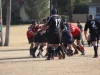Camelback-Rugby-vs-Phoenix-Rugby-B-Side-151