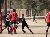Camelback-Rugby-vs-Phoenix-Rugby-B-Side-211