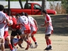 Camelback-Rugby-Vs-Red-Mountain-Rugby-210