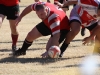 Camelback-Rugby-Vs-Red-Mountain-Rugby-234