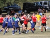 Camelback-Rugby-vs-Scottsdale-Rugby-B-075