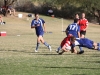 Camelback-Rugby-vs-Scottsdale-Rugby-B-123