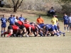 Camelback-Rugby-vs-Scottsdale-Rugby-013