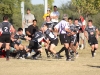 Camelback-Rugby-vs-Tempe-Rugby-139