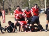 Camelback-Rugby-vs-Phoenix-Rugby-B-Side-075