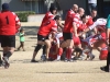 Camelback-Rugby-Vs-Red-Mountain-Rugby-160