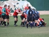 Camelback-Rugby-vs-Old-Pueblo-Rugby-246