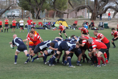 Camelback-Rugby-vs-Old-Pueblo-Rugby-B-114