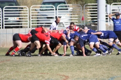 Scottsdale Blues Rugby Club ~ \'10/\'11